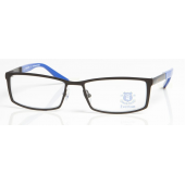 Everton FC Glasses (Adult)